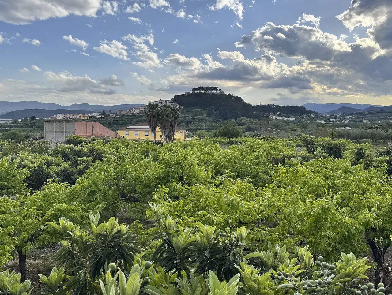 Entorno natural alrededor de Salones Idúbeda